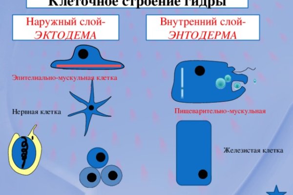 Кракен сайт зеркало рабочее на сегодня