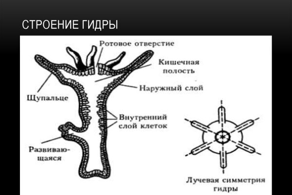 Kra12.cc