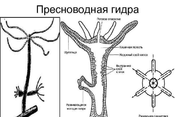 Не заходит на кракен