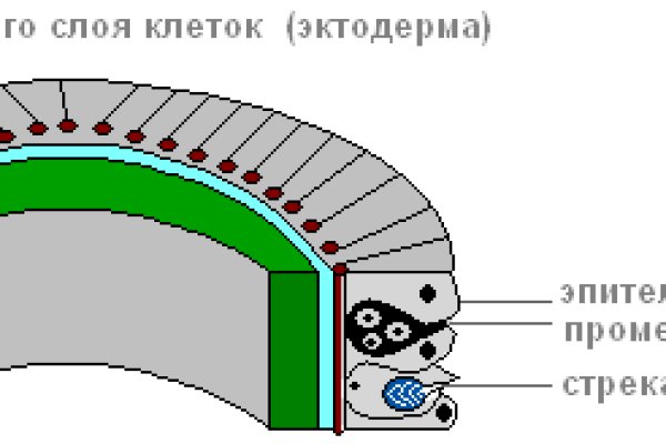 Kraken вход зеркало