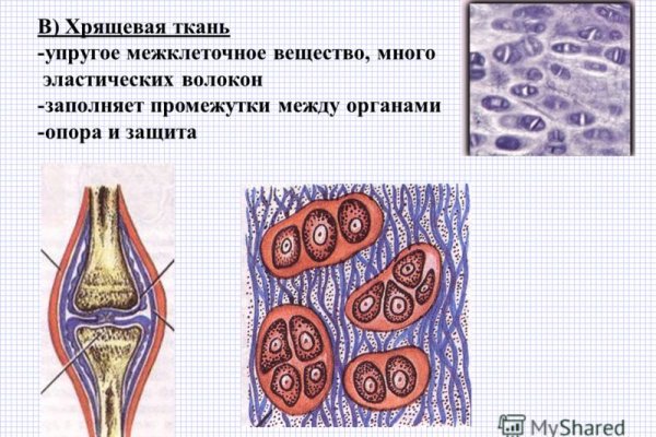 Новая ссылка кракена