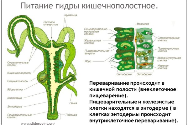Кракен упал