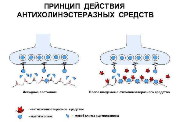 Кракен зеркало на тор